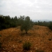 Atzeneta Del Maestrat property: Beautiful Finca for sale in Atzeneta Del Maestrat 168992