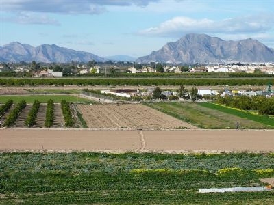 Formentera&nbsp;Del&nbsp;Segura&nbsp;property:&nbsp;Apartment&nbsp;for&nbsp;sale&nbsp;in&nbsp;Formentera&nbsp;Del&nbsp;Segura,&nbsp;Spain&nbsp;169303