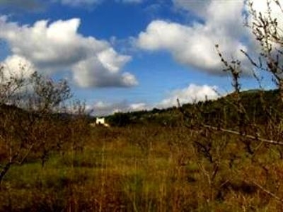 Murla&nbsp;property:&nbsp;Villa&nbsp;with&nbsp;4&nbsp;bedroom&nbsp;in&nbsp;Murla,&nbsp;Spain&nbsp;169367