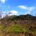 Murla&nbsp;property:&nbsp;Murla,&nbsp;Spain&nbsp;Villa&nbsp;169367