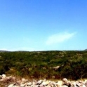 Alcalali property: Land for sale in Alcalali 169370