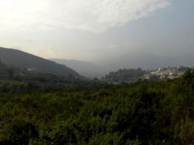 Alcalali property: Land with bedroom in Alcalali 169370