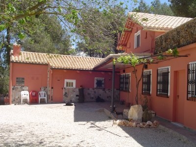 Commercial for sale in town 169424