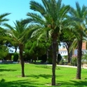 Torrevieja property: Townhome for sale in Torrevieja 169867