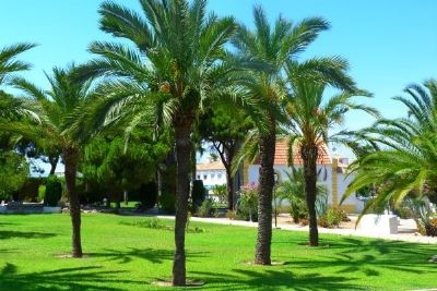 Torrevieja property: Townhome for sale in Torrevieja 169867
