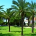 Torrevieja property: Alicante, Spain Townhome 169867