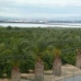 Torrevieja property: 2 bedroom Townhome in Torrevieja, Spain 169896
