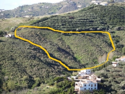 Frigiliana property: Land for sale in Frigiliana 170310