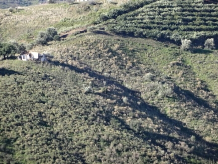 Frigiliana property: Land for sale in Frigiliana, Spain 170310