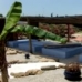 Vejer De La Frontera property: Cadiz Finca, Spain 170447
