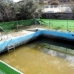 Aspe property: 3 bedroom Villa in Aspe, Spain 170584