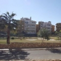 Punta Prima property: Apartment for sale in Punta Prima 170619