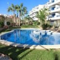 Playa Flamenca property: Apartment for sale in Playa Flamenca 170620