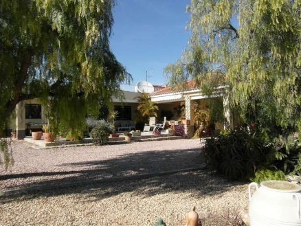 House with 5 bedroom in town 171032