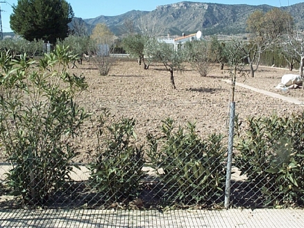 Villa for sale in town,  171044