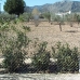 Villa in province 171044