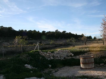 House with 5 bedroom in town 171055