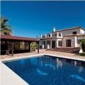 New Golden Mile property: Villa for sale in New Golden Mile 171548