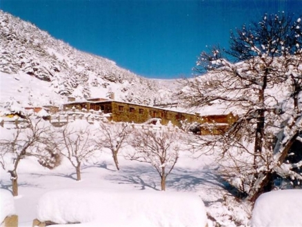 Bayárcal&nbsp;property:&nbsp;Commercial&nbsp;for&nbsp;sale&nbsp;in&nbsp;Bayárcal,&nbsp;Almeria&nbsp;171710