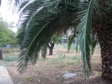 Jalon&nbsp;property:&nbsp;Jalon,&nbsp;Spain&nbsp;|&nbsp;Villa&nbsp;for&nbsp;sale&nbsp;171981