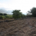 Jalon&nbsp;property:&nbsp;Land&nbsp;for&nbsp;sale&nbsp;in&nbsp;Jalon&nbsp;172143