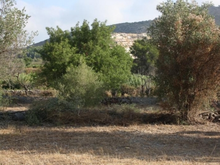 Jalon&nbsp;property:&nbsp;Land&nbsp;for&nbsp;sale&nbsp;in&nbsp;Jalon,&nbsp;Spain&nbsp;172143