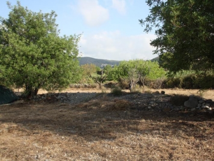 Jalon&nbsp;property:&nbsp;Land&nbsp;for&nbsp;sale&nbsp;in&nbsp;Jalon,&nbsp;Alicante&nbsp;172143