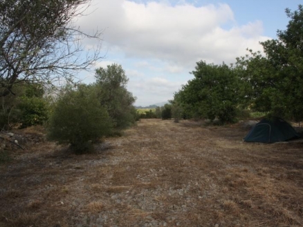Jalon&nbsp;property:&nbsp;Land&nbsp;in&nbsp;Alicante&nbsp;for&nbsp;sale&nbsp;172143
