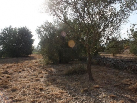 Jalon&nbsp;property:&nbsp;Alicante&nbsp;property&nbsp;|&nbsp;bedroom&nbsp;Land&nbsp;172143
