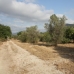 Jalon&nbsp;property:&nbsp;bedroom&nbsp;Land&nbsp;in&nbsp;Alicante&nbsp;172143