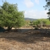 Jalon&nbsp;property:&nbsp;&nbsp;Land&nbsp;in&nbsp;Alicante&nbsp;172143