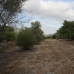 Jalon&nbsp;property:&nbsp;Land&nbsp;in&nbsp;Jalon&nbsp;172143
