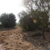 Jalon&nbsp;property:&nbsp;Jalon&nbsp;Land,&nbsp;Spain&nbsp;172143