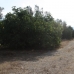 Jalon&nbsp;property:&nbsp;Alicante&nbsp;Land,&nbsp;Spain&nbsp;172143