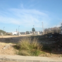 Alcalali&nbsp;property:&nbsp;Land&nbsp;for&nbsp;sale&nbsp;in&nbsp;Alcalali&nbsp;172301