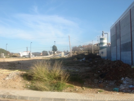 Alcalali&nbsp;property:&nbsp;Land&nbsp;for&nbsp;sale&nbsp;in&nbsp;Alcalali&nbsp;172301