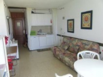 Tenerife&nbsp;property&nbsp;|&nbsp;bedroom&nbsp;Studio&nbsp;172543
