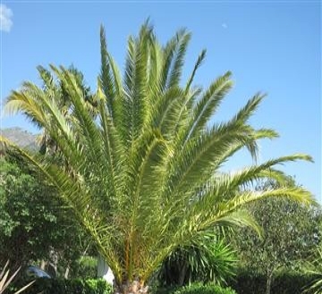 Mijas property: Malaga property | 3 bedroom Villa 172577