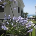 Estepona property: Estepona Apartment, Spain 172655