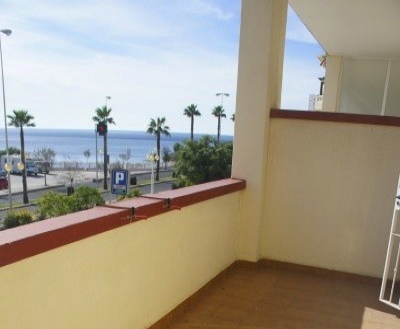 town&nbsp;Apartment&nbsp;172677