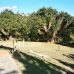 Estepona property: Estepona, Spain Villa 172823