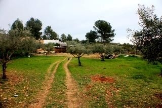 Villa&nbsp;with&nbsp;3&nbsp;bedroom&nbsp;in&nbsp;town&nbsp;172933