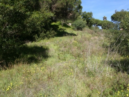 Elviria property: Land with bedroom in Elviria 172962