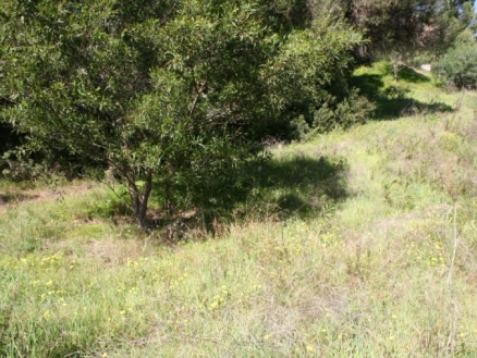 Elviria property: Land with bedroom in Elviria, Spain 172962