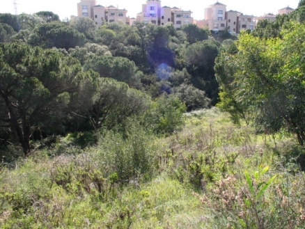 Elviria property: Elviria, Spain | Land for sale 172962