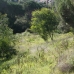 Elviria property: Land for sale in Elviria 172962