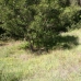 Elviria property: bedroom Land in Malaga 172962