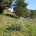 Elviria property: Land in Malaga 172962