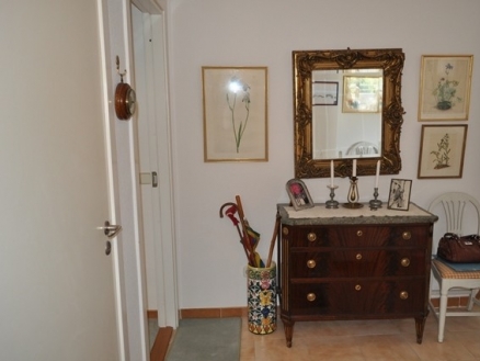 town&nbsp;Apartment&nbsp;172994