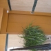 Alhaurin El Grande property: Apartment in Malaga 173283